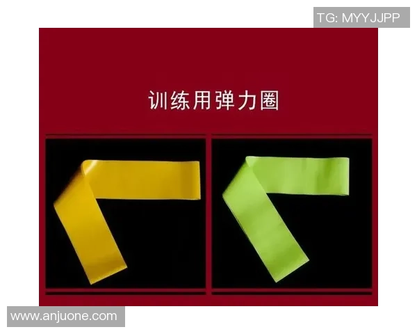 北京羽毛球队耐力对比深度解析与训练策略探讨